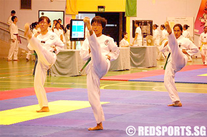 http://redsports.sg/wp-content/uploads/2008/05/08-adiv_taekwondo-2.jpg
