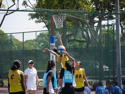 south zone b division netball