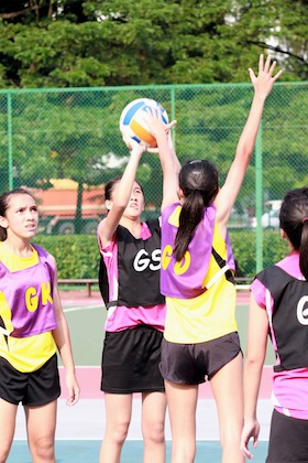 south zone b division netball