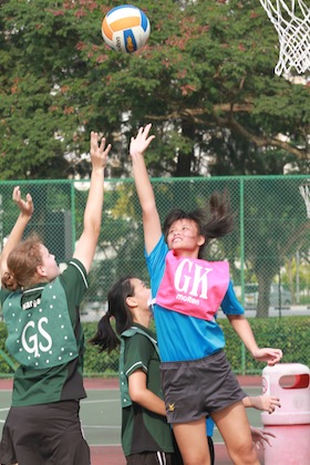 south zone b division netball