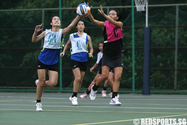 ivp netball np vs sim