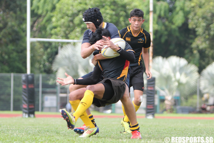 RUGBY-ADIV-ACJC-VS-PJC-8