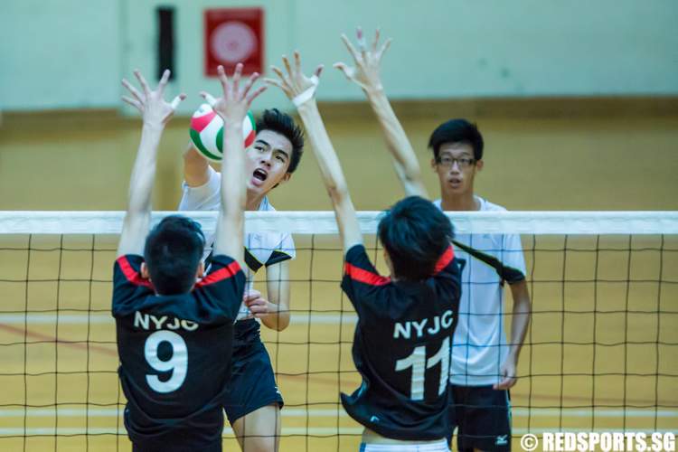 National A Division Volleyball Victoria Junior College Nanyang Junior College