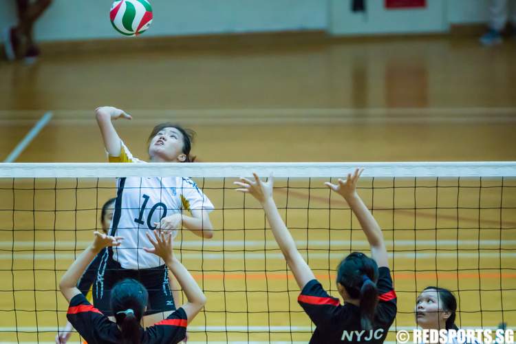 National A Division Volleyball Victoria Junior College Nanyang Junior College