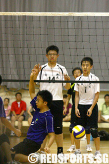 anderson vs xinmin