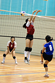 west zone volleyball