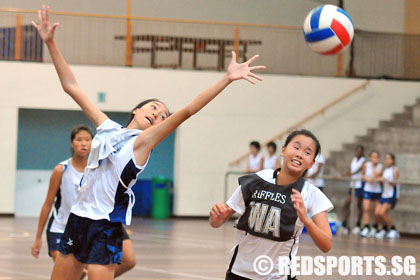 B / C Division netball semi-finals