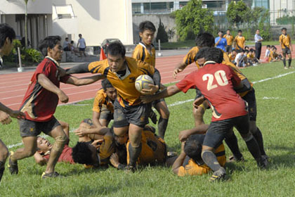 A Division rugby