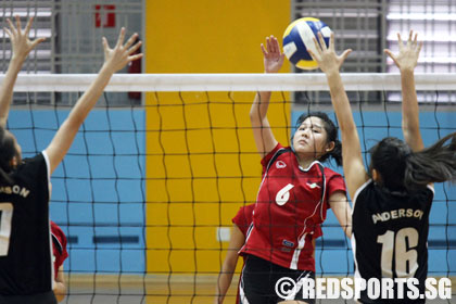 shuqun anderson volleyball