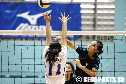 volleyball-cedar-xinmin