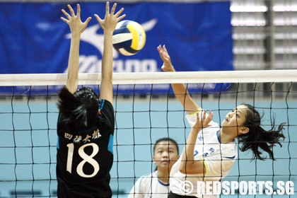 volleyball-cedar-xinmin