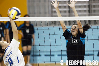 volleyball-cedar-xinmin