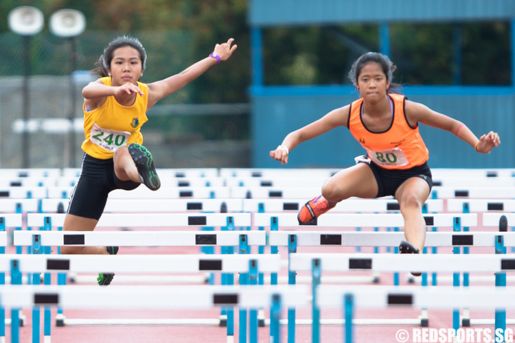 track&field-hurdles-1