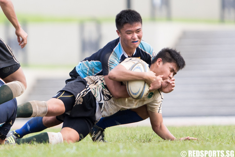 adiv-rugby-cjc-jjc-8