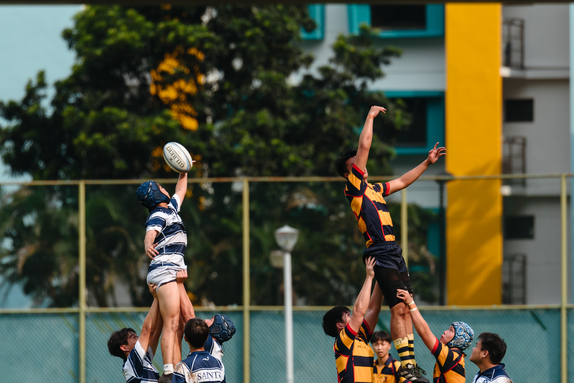 SAJC’s Reeve Sim (#28) makes a one-handed reach for the ball at the lineout. (Photo 4 © Jared Chow/Red Sports)