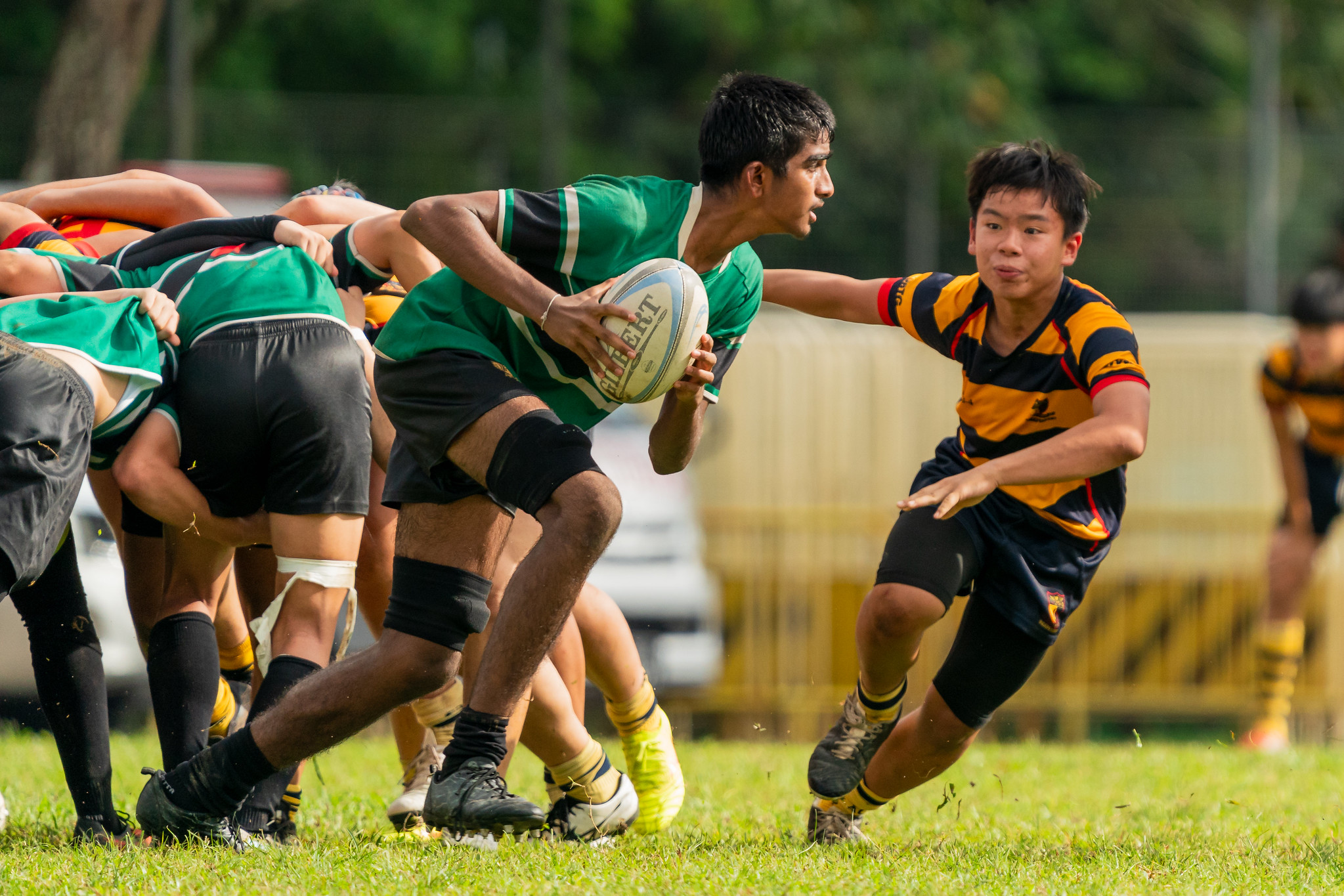 Onith Senaratne (RI #8) picks the ball from a scrum. (Photo 8 © Bryan Foo/Red Sports)